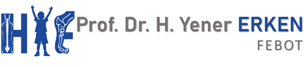 Prof. Dr. H. Yener ERKEN, FEBOT